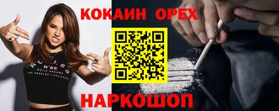 кокс Гатчина