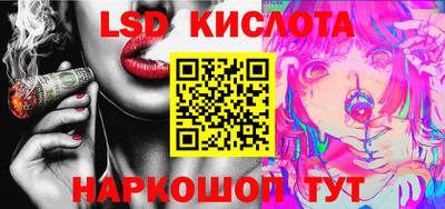 кокс Гатчина
