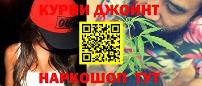 кокс Гатчина