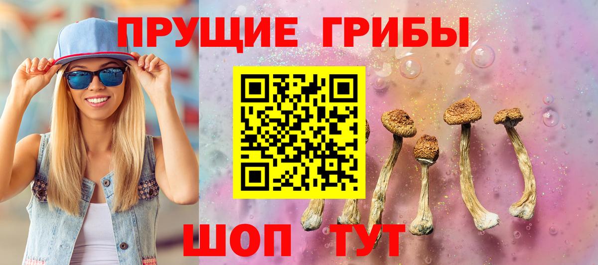 Галлюциногенные грибы прущие грибы  Вход с VPN  Краснотурьинск 